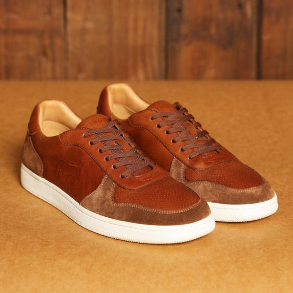 Kingsley Ace Court Sneaker - Tan - Kingsley Heath