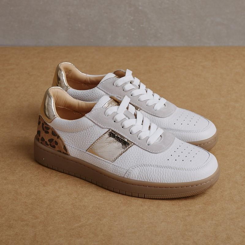 Ace Sneaker - Pelican