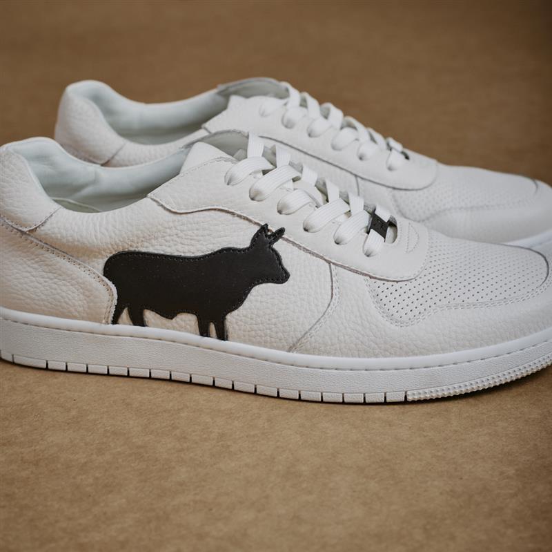 Kingsley Ace Sneaker - Pelican