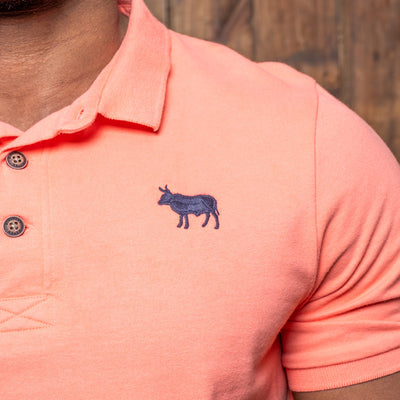 Classic Embroidered Regular Fit SJ Polo Coral