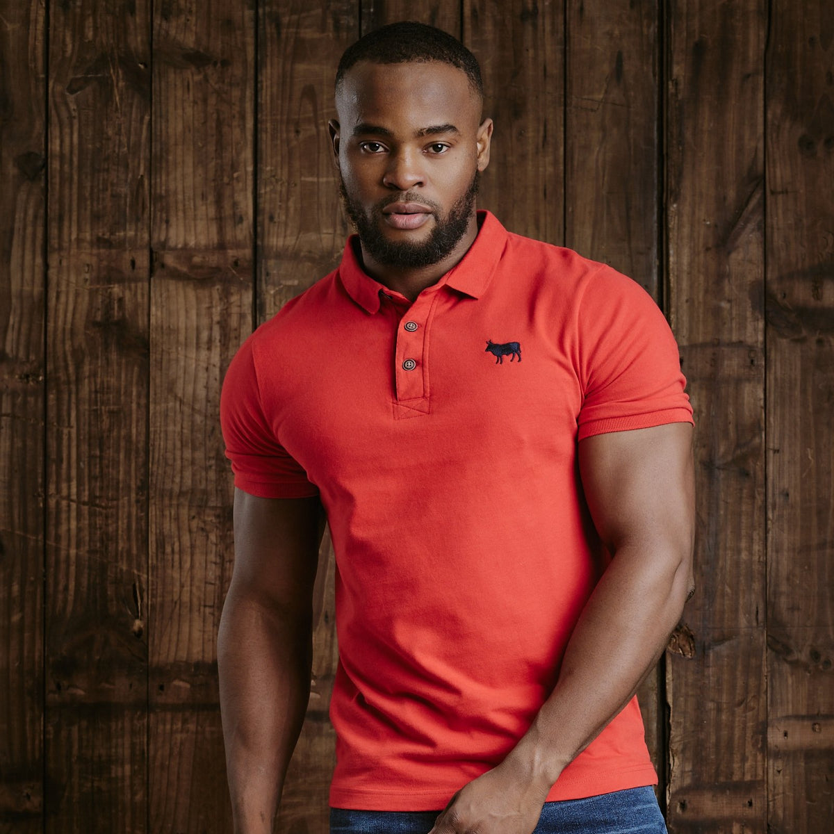 Kingsley Heath Timeless Embroidered Rsjpn  Polo - Masai