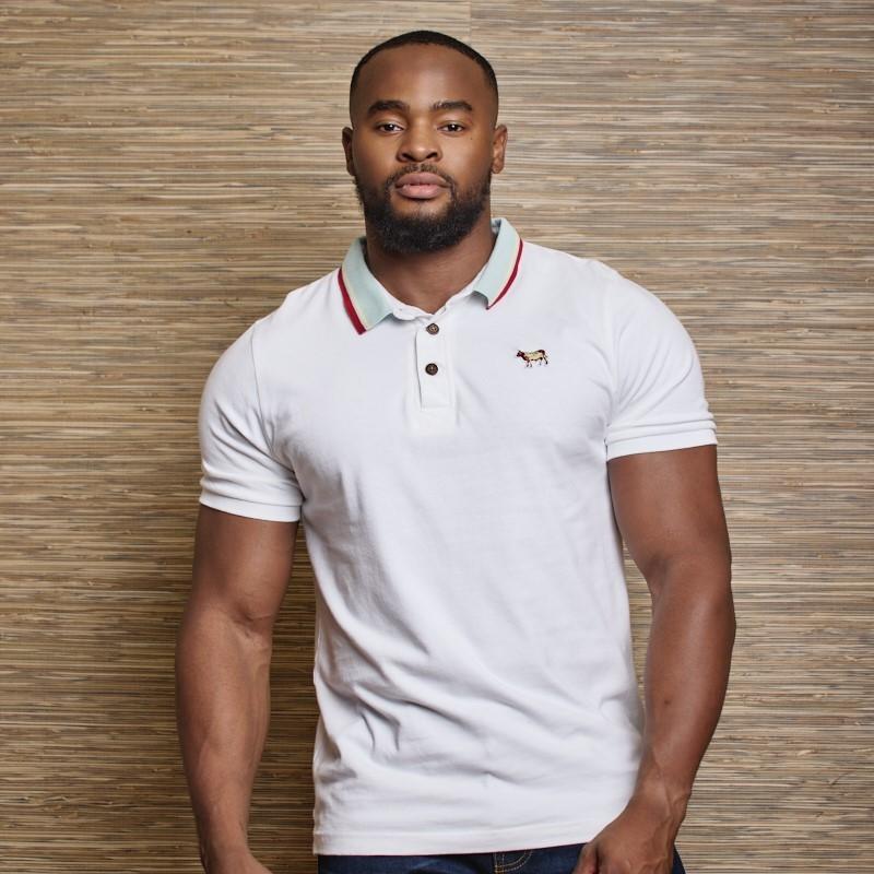 Tripple Tipped Polo - Pelican