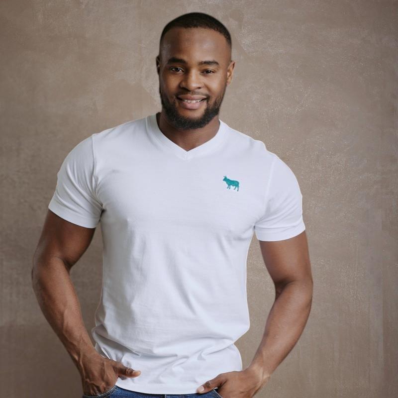 Pop Nguni Embroidery V-Neck Tee - Pelican