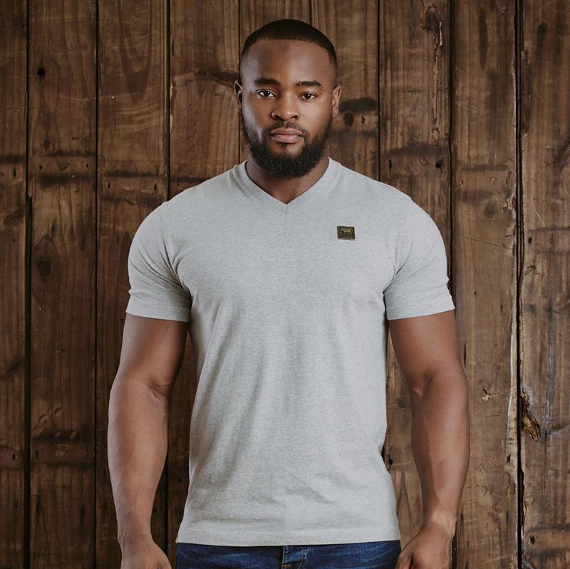 Kingsley Solid Antique Brass Badge V-Neck Tee - Vervet