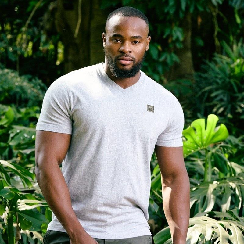 Kingsley Solid Antique Brass Badge V-Neck Tee - Vervet