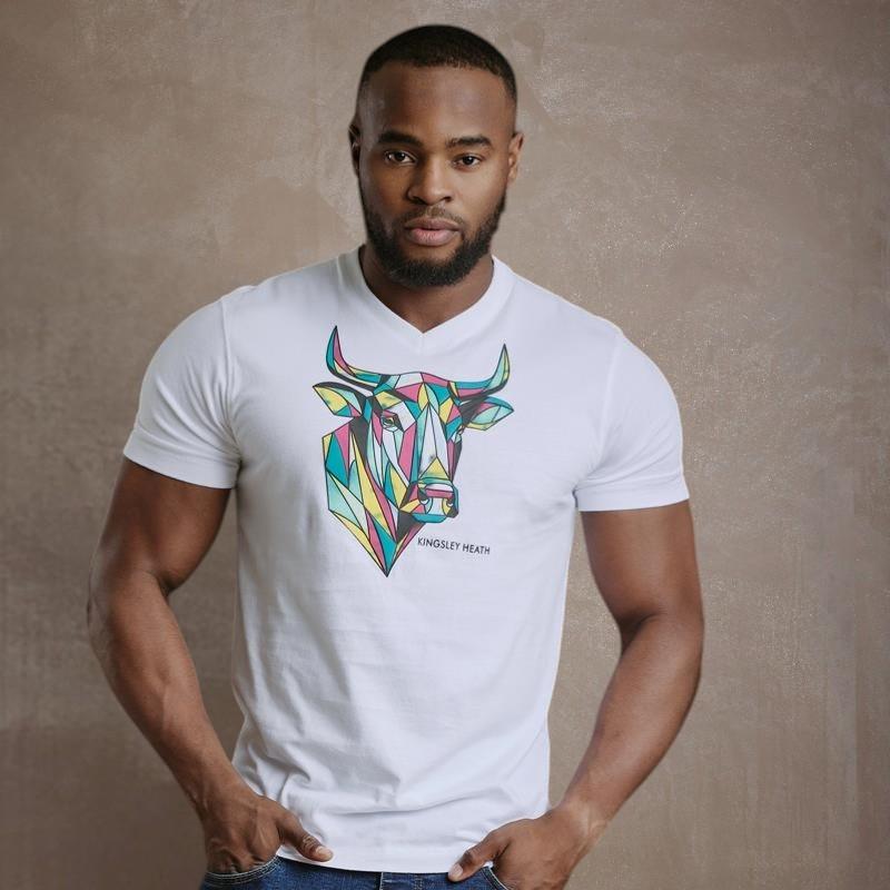 Kingsley Stain Glass Skull V-Neck Tee - Pelican