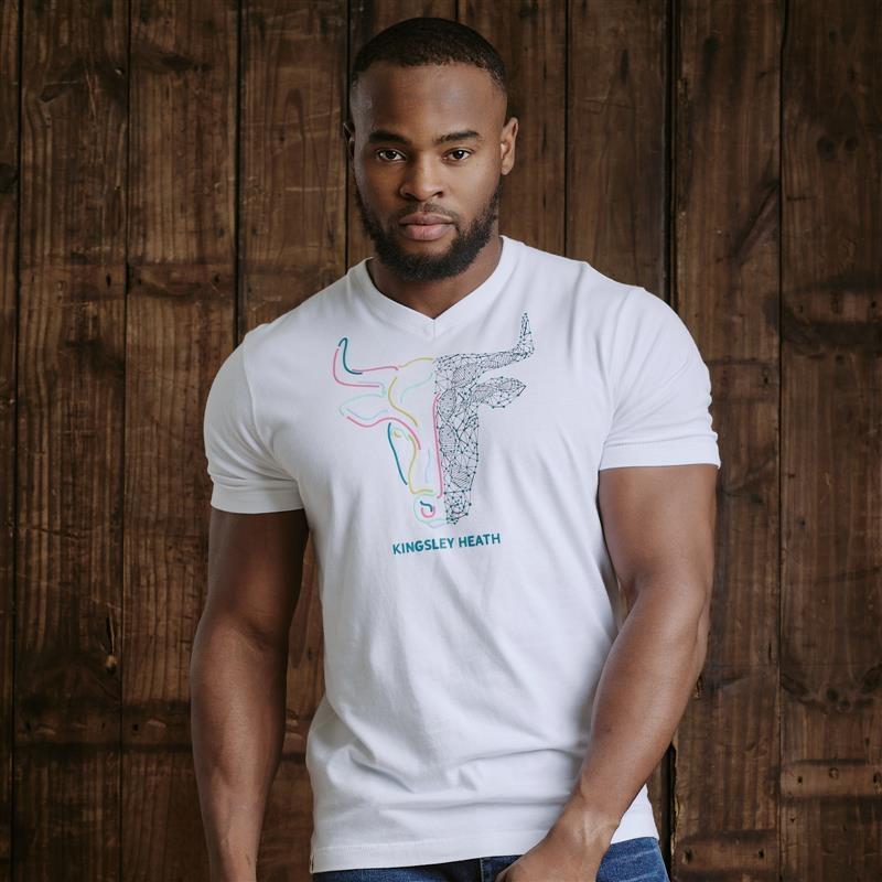 Two Faced Molecular Flow V-Neck Tee  - Pelican