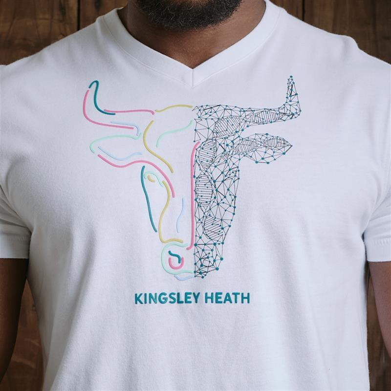 Two Faced Molecular Flow V-Neck Tee  - Pelican