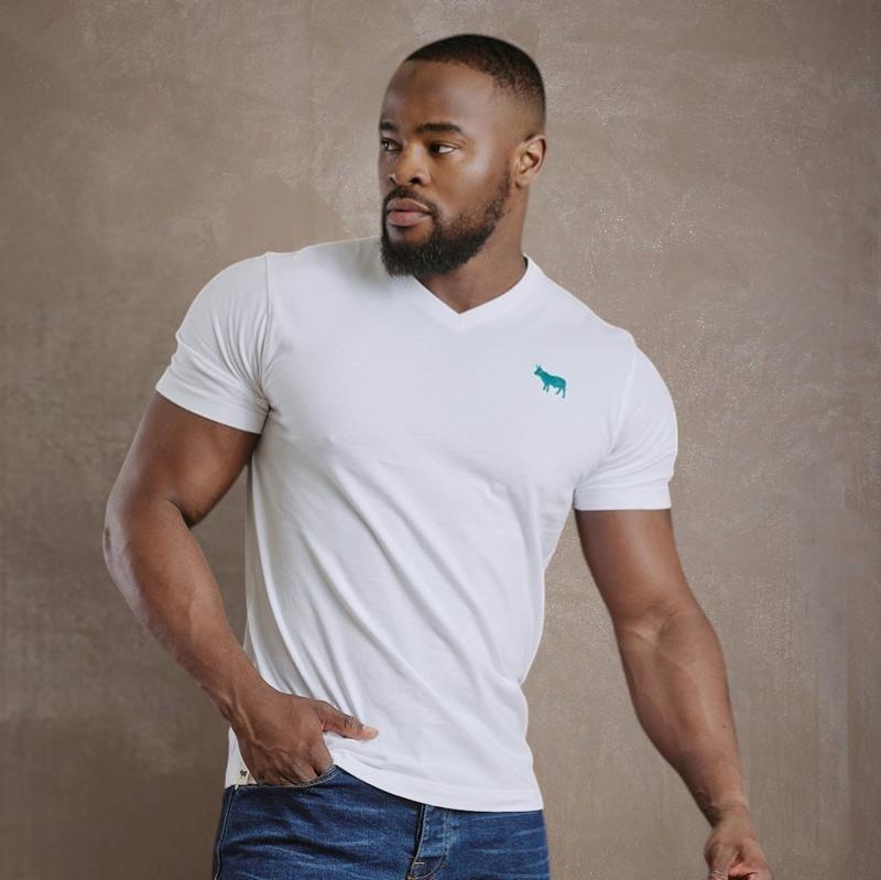 Kingsley Wool Embroidery POP V-Neck Tee  - Pelican
