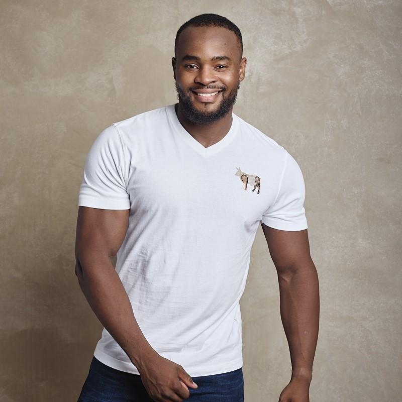 Line Art Foil Nguni V-Neck Tee - Pelican